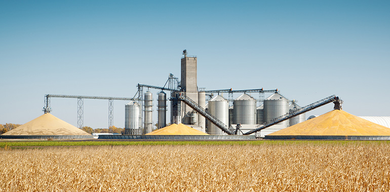 Grain And Oil Industry