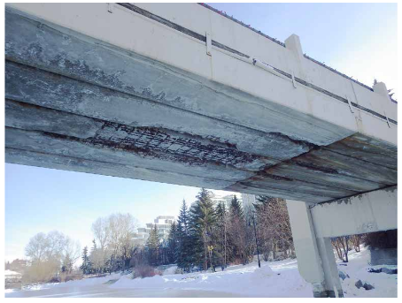 Freeze-Thaw Protection